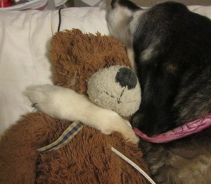 Ginger and her bear :)