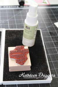 Stamp Cleaned with Stampin' Mist