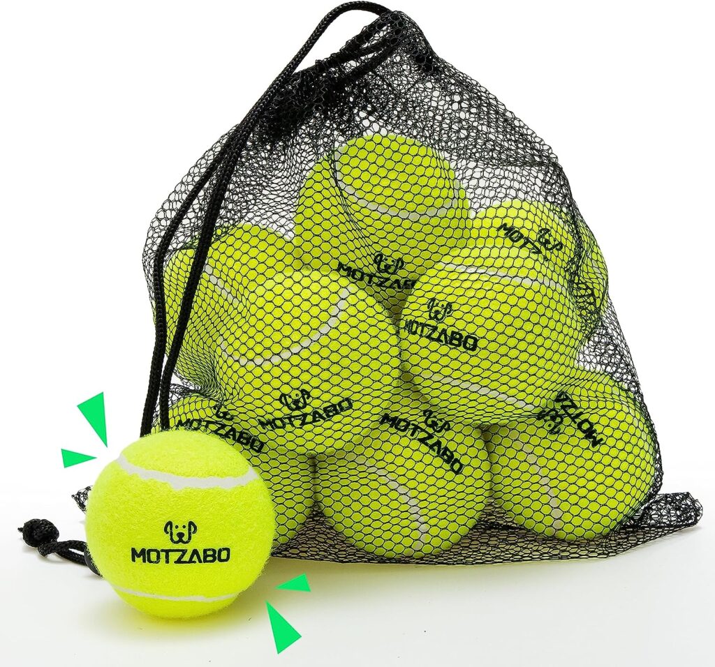 squeaky tennis balls for dogs and puppies