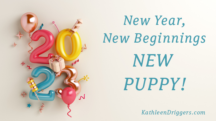 New Year, New Puppy, New Release!